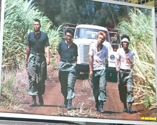 the blue hearts train train ポスター | ロックな古本屋ブログ