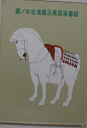 古墳時代を駆けた馬