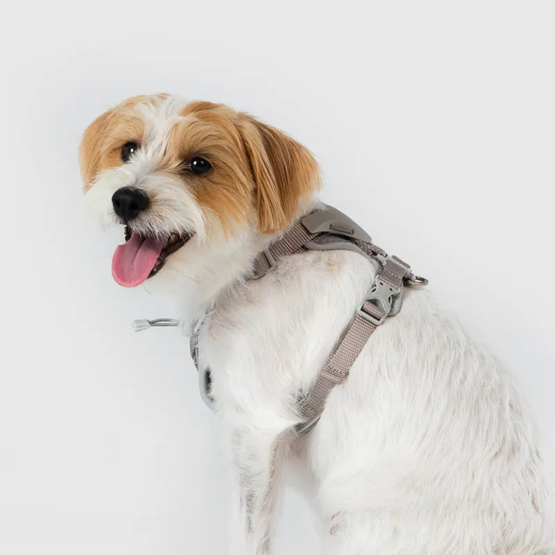 体に優しいシリーズ】UXハーネス グレー / Ultra Explore Harness