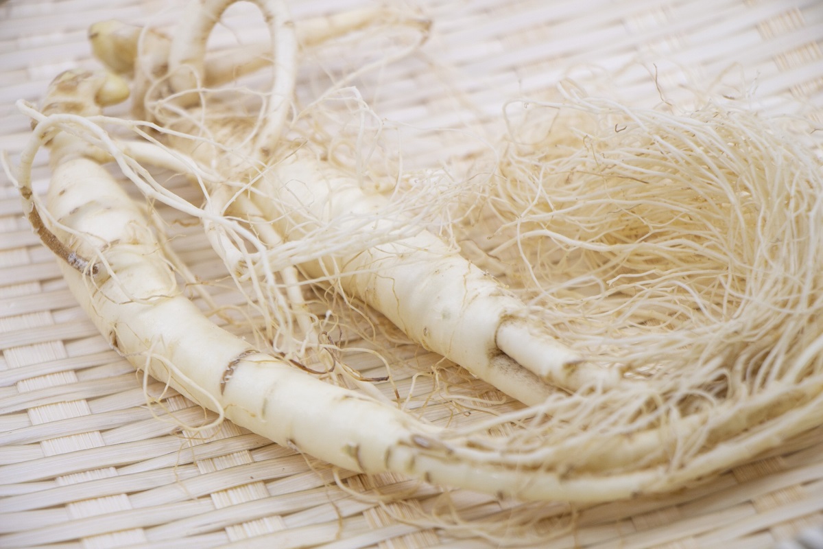 江戸の町も“韓流ブーム”！？物価が高騰するほど江戸の人たちを夢中に