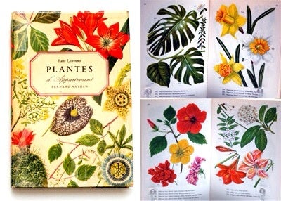 ○フランスの観葉植物・植物図鑑のヴィンテージ洋書 | 海外の