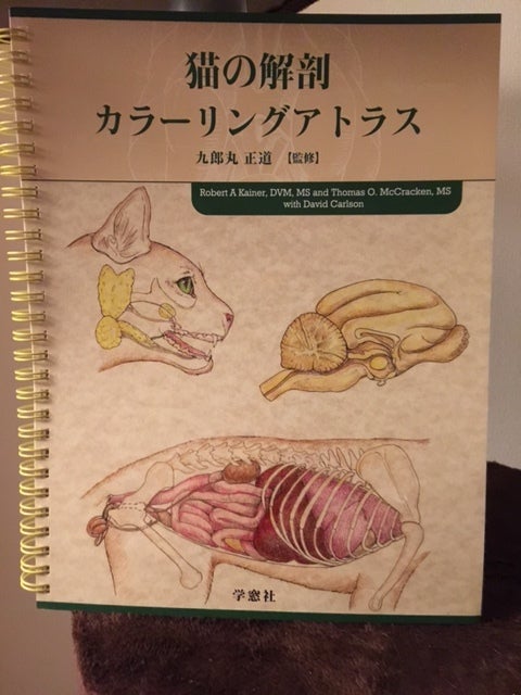 2015年2月23日 猫の解剖カラーリングアトラス～秘密のネコ本図書館蔵書