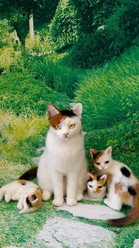 三毛猫親子 | 銀もかフェ