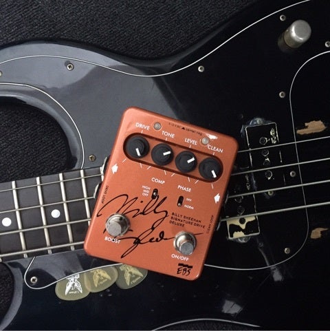 EBS Billy Sheehan Signature Drive DELUXE レビュー | バイク馬鹿