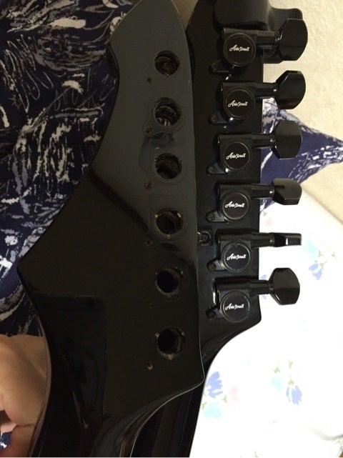 AriaProⅡのRS-wildcat(黒) | 好きに勝手にいろんな楽器