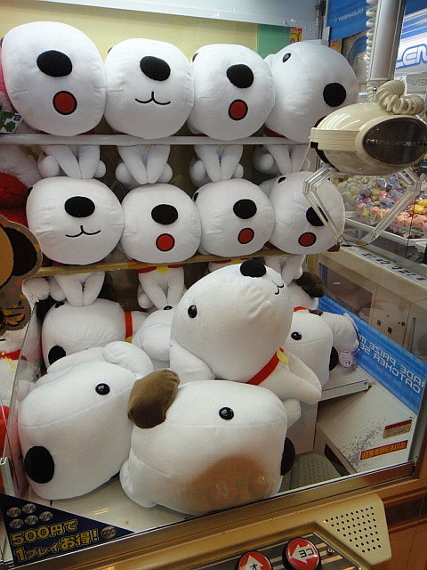 リトル・チャロ BIGぬいぐるみ | クレーンゲームで景品GETしました！