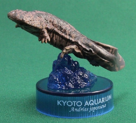 海洋堂 京都水族館限定フィギュア オオサンショウウオ 在来種 | 和歌山