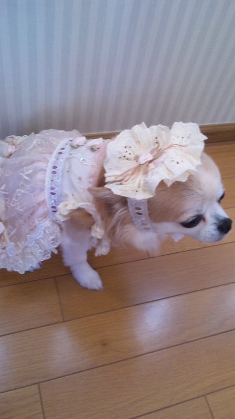 やぁ〉囧rz リョウガ | 超特急オフィシャルブログ Powered by Ameba