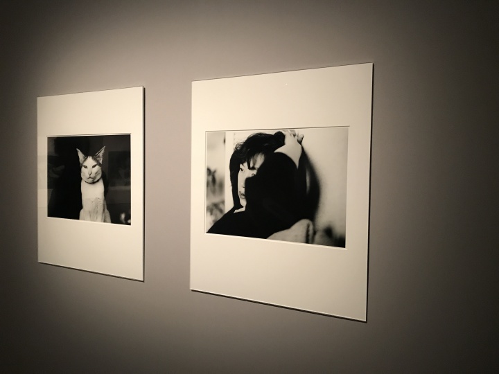 CHANEL NEXUS 写真集 東京墓情 荒木経惟 CHANEL NEXUS 写真集 東京墓情