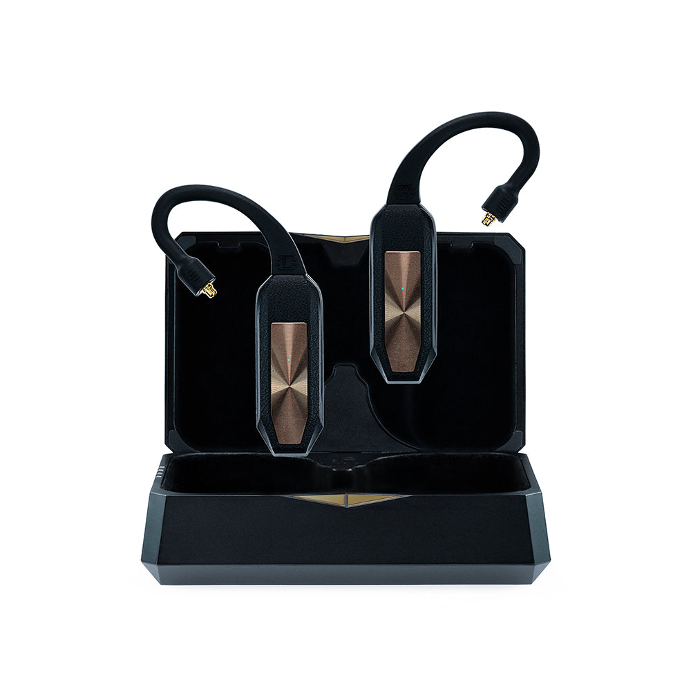 iFi audio GO pod – エミライダイレクトストア