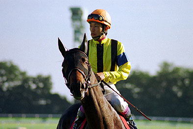 ダンスインザダーク京都新聞杯