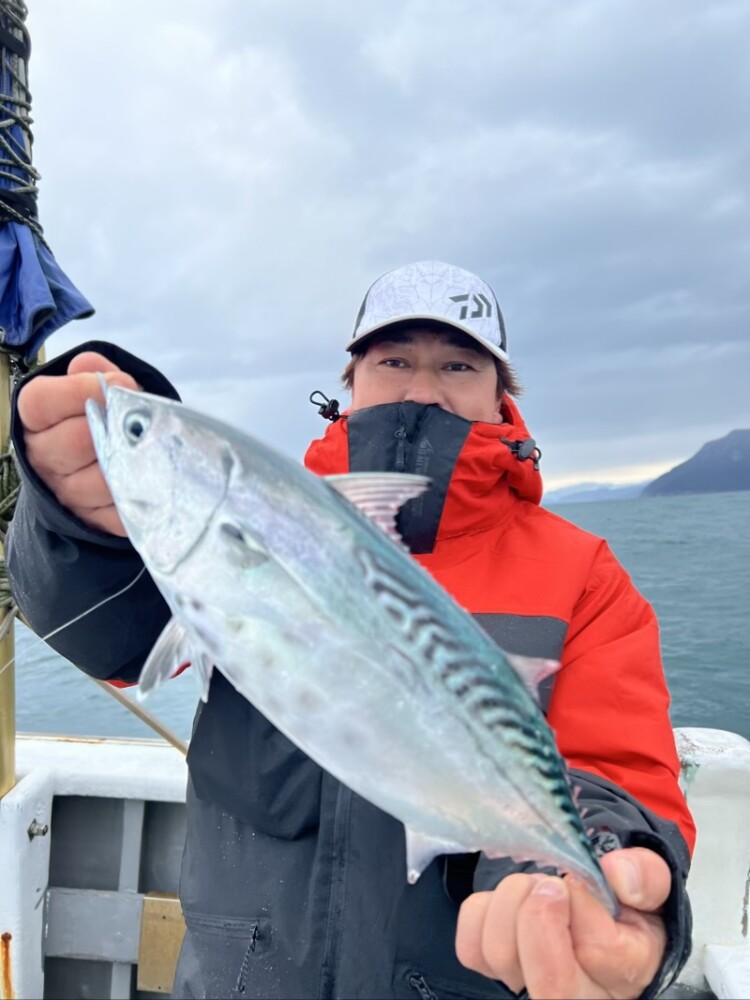 LJ＆タイラバ(12/28) | 釣り船 SEPT