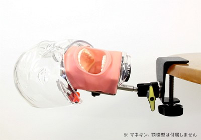 ニッシン - 頬粘膜ボックス ファントム用 | ショップリンケージ.com