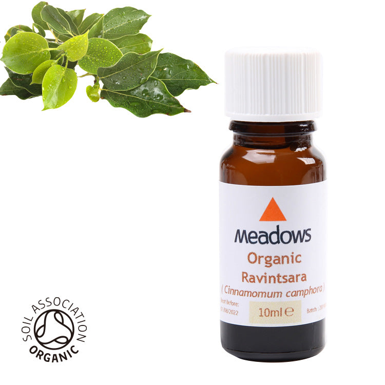 ラヴィンツァラ – メドウズオンラインショップ（株式会社メドウズ