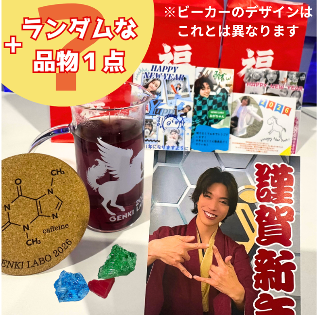 追加販売！】【100個限定】2026年GENKILABOオリジナル福袋 – GENKI LABO