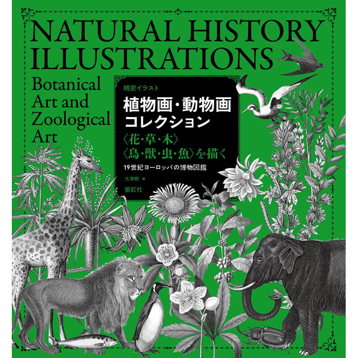 紫紅社】精密イラスト 植物画・動物画コレクション〈花・草・木〉〈鳥