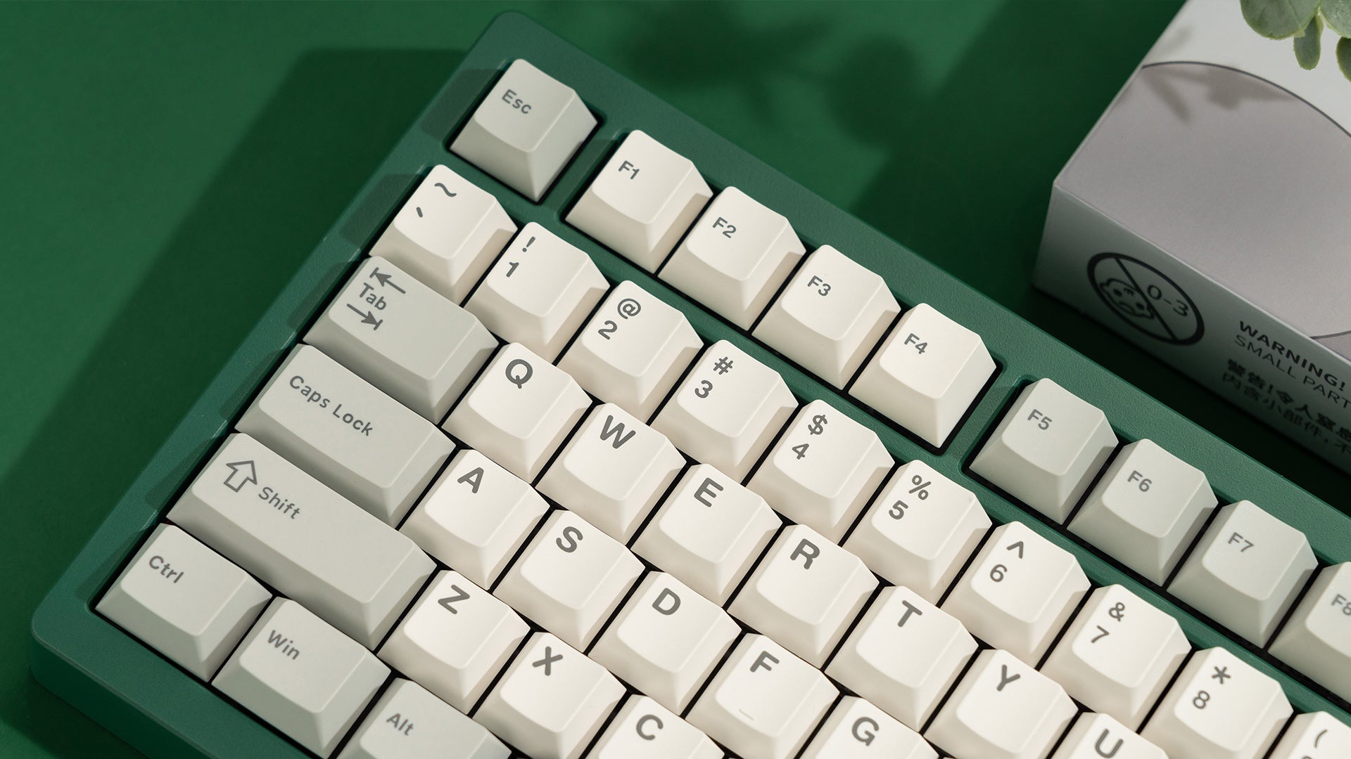 1_9d353d22-4b61-46d8-a33f-