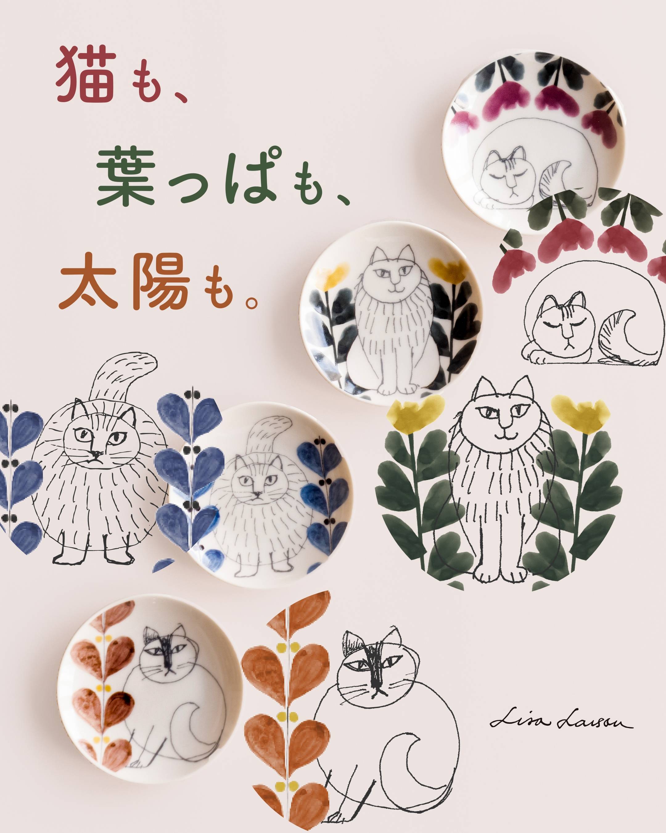 猫も、葉っぱも、太陽も。