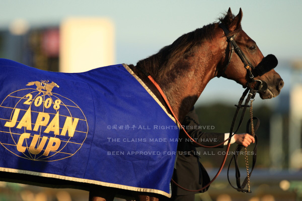 第28回（2008年）ジャパンカップ回顧 M.デムーロ騎乗・スクリーン