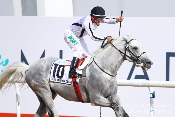 2018 Dubai World Cup(ドバイワールドカップ) – The 岡田修平