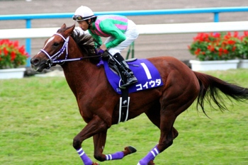 コイウタ もう一度、見たかった。。07ヴィクトリアマイル勝ち馬