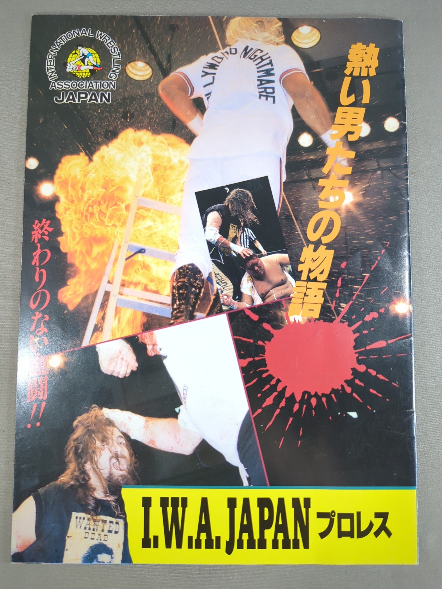 2選手直筆サイン入り】I.W.A.JAPANプロレス / 熱い男たちの物語 – 闘道館