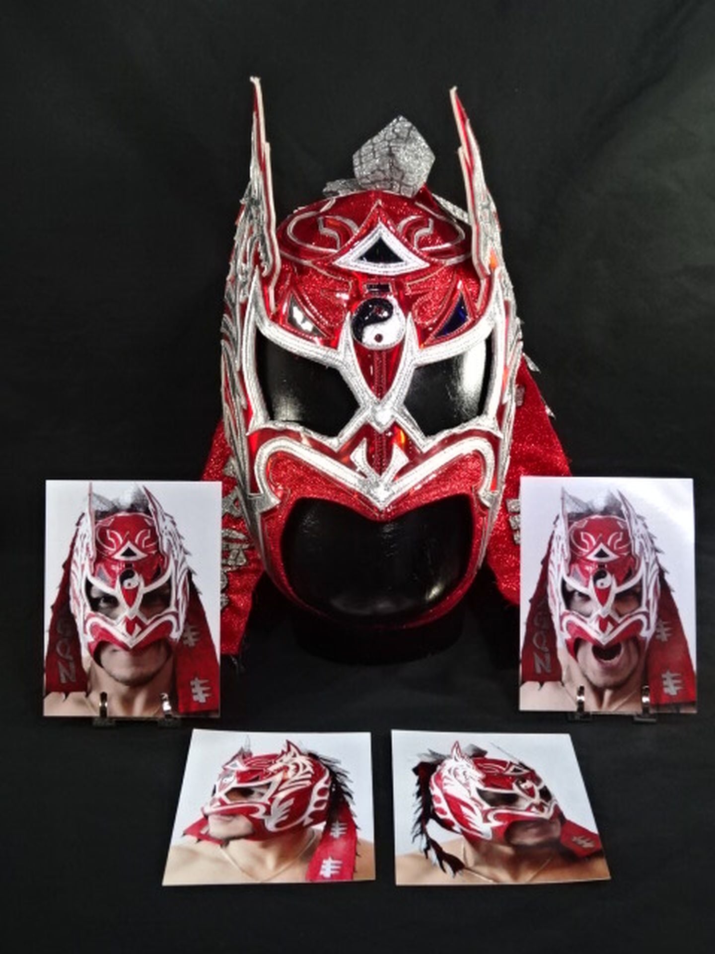 ドラゴン・リー ☆WWE NXT＆SMACKDOWN 実使用!!☆ – 闘道館