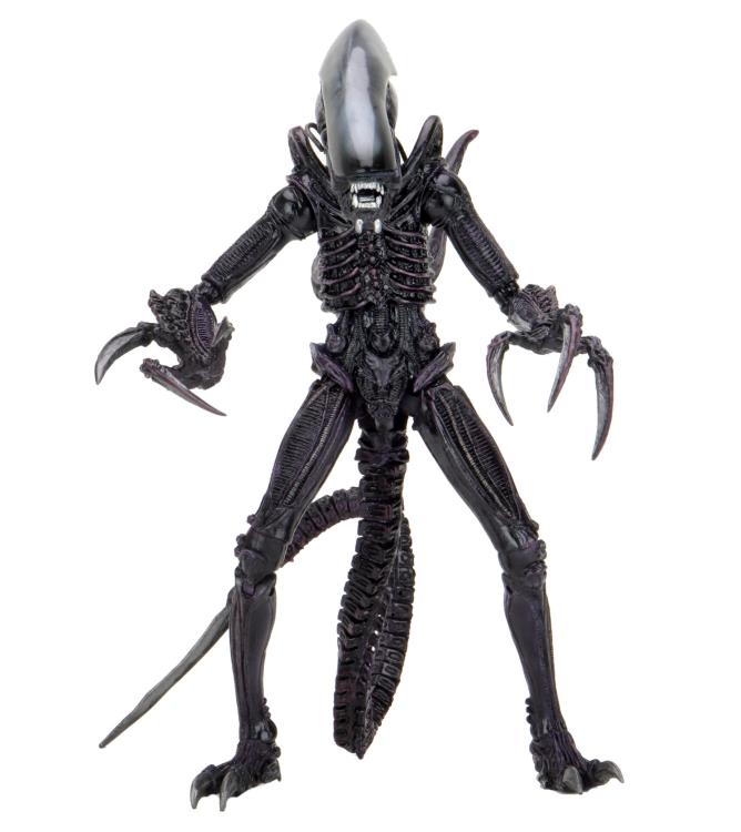 NECA Alien vs. Predator Razor Claws Alien (Movie Deco) Action Figure
