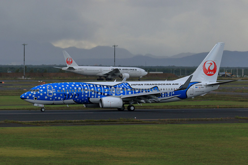 北の大地にジンベエザメのジェット機が。ボーイング 737-800型機の「新