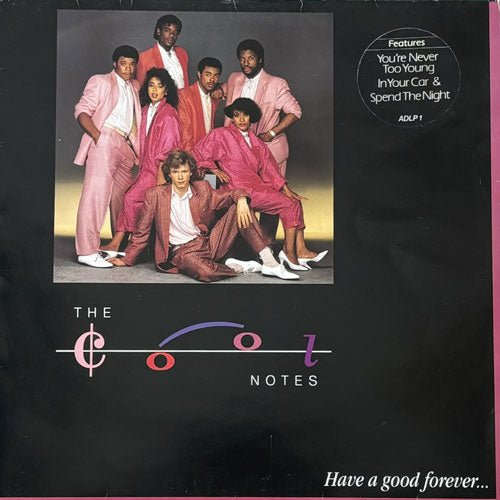 COOL NOTES / HAVE A GOOD FOREVER – VINYL CHAMBER