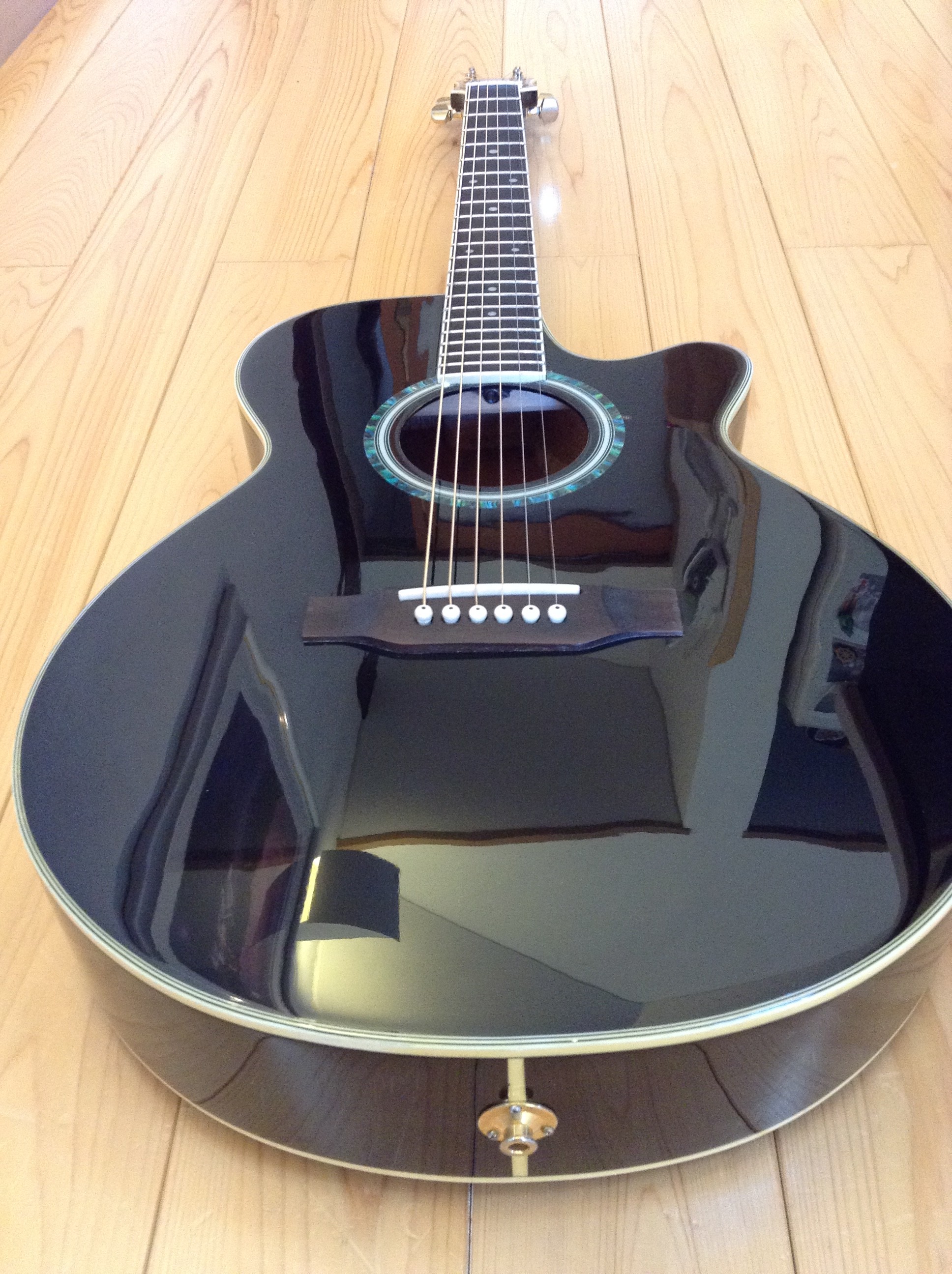 Pro Martin/プロマーチン EA-500W エレアコ 黒 – C.I.K カスタム