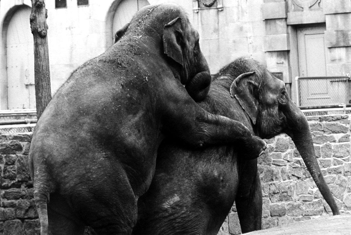 Pier 24 Garry Winogrand - 