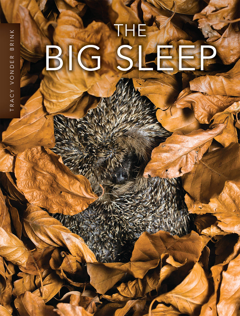 The Big Sleep – Pioneer Valley Books
