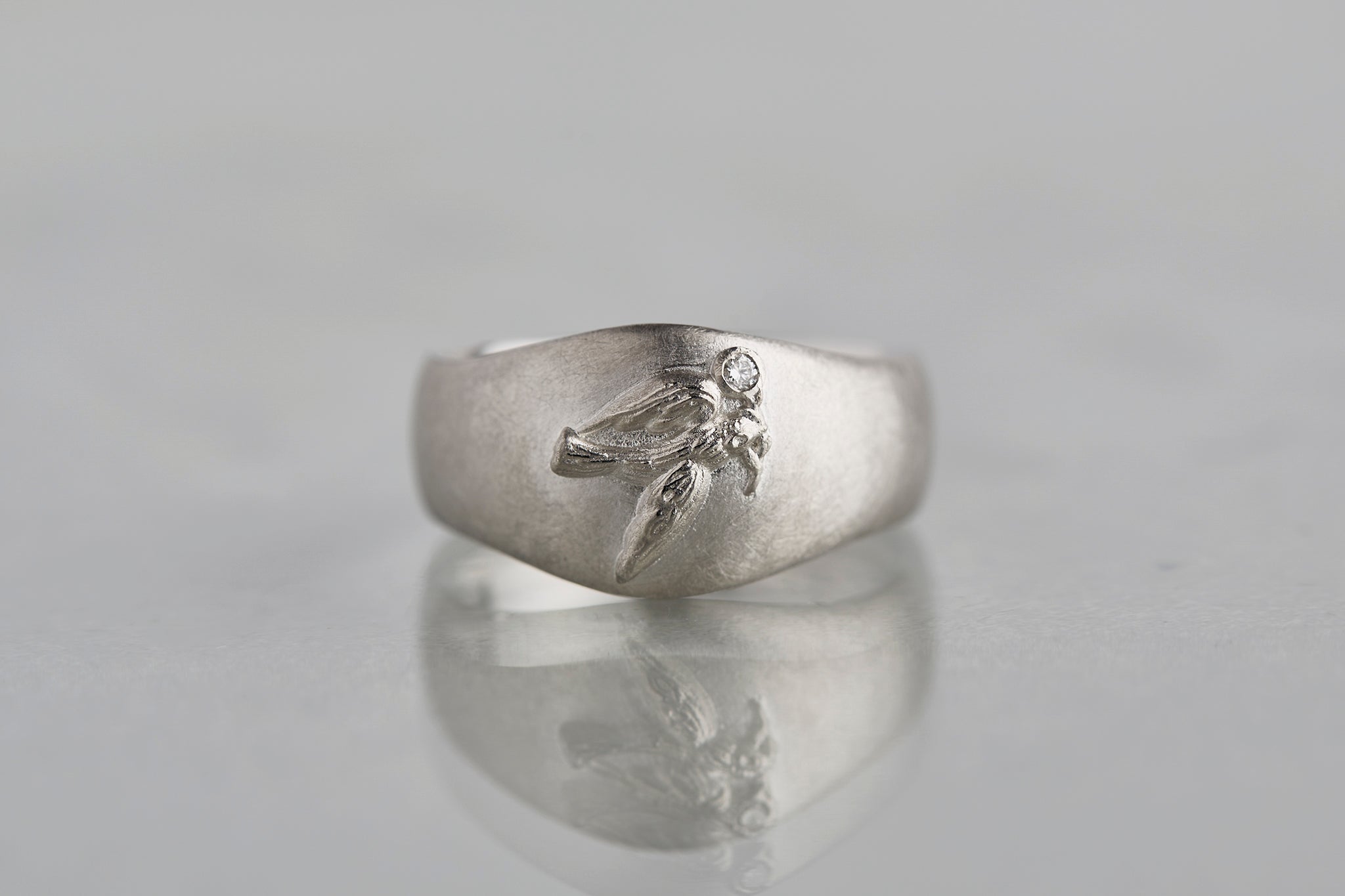 minä perhonen & Ryui 