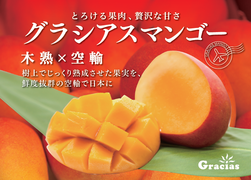 グラシアスマンゴー - マンゴー - レインボーフレッシュ株式会社