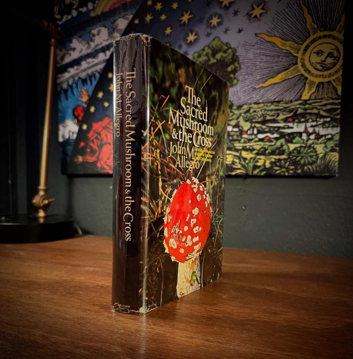 9A446F9D-45BF-4C36-B55A-