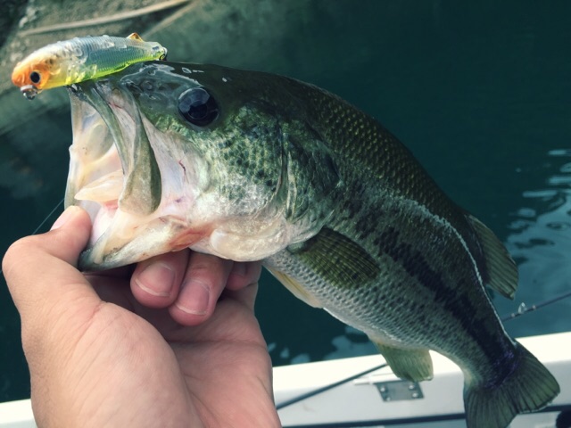 パターンフィッシングを学ぼう！田辺哲男『Bassing Pattern Book