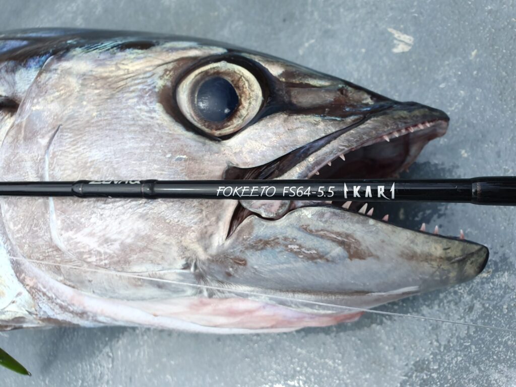 FOKEETO IKARI - ZENAQ(ゼナック) | オフィシャルサイト