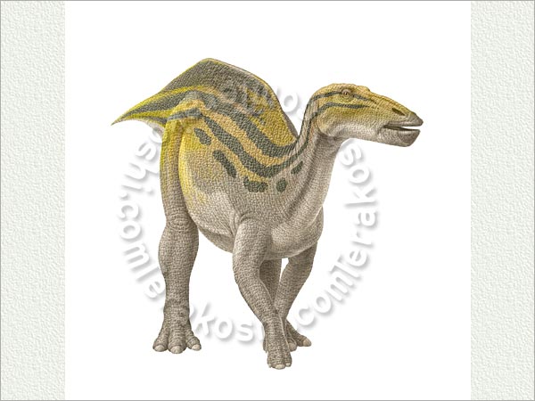 シャントゥンゴサウルス