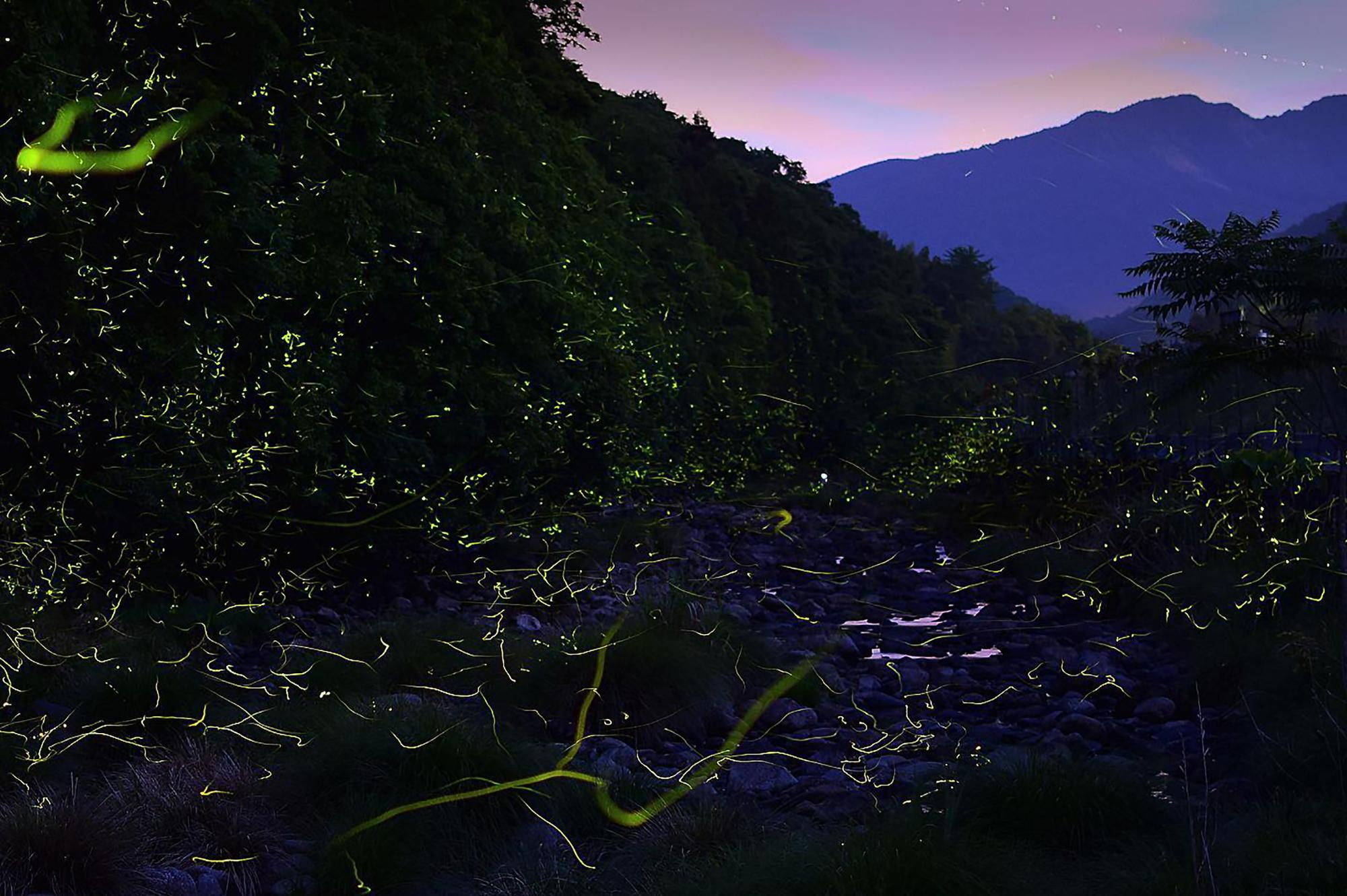 ほたるの里／上毛町