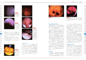 NEW LLL PUBLISHER 【世界動物病院協会】