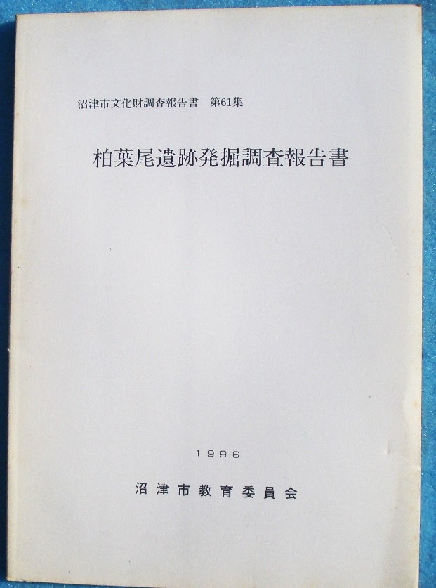 遺跡発掘調査報告書 ―古書・古本―渡井書店