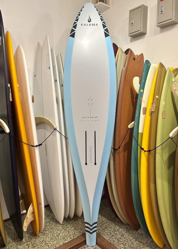 8.4 GATOR AP大 kalama performance|沖縄サーフィンショップ「YES SURF」