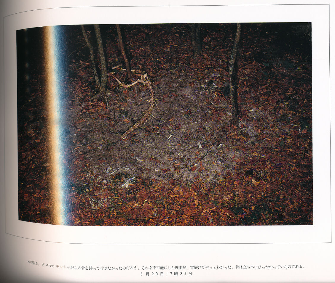 死 宮崎学写真集」宮崎学著 平凡社