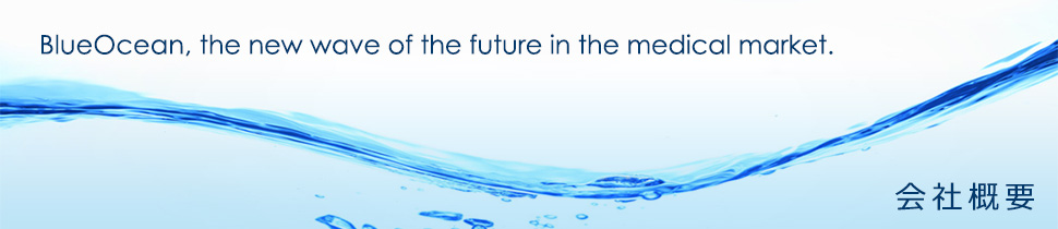 会社概要｜ブルーオーシャン株式会社｜Blue Ocean Inc.
