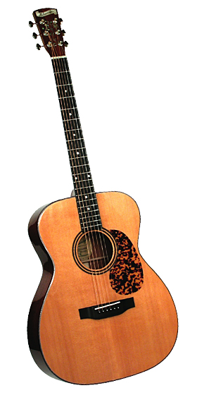 ブルーリッジ・ギター【日本総代理店】 Blueridge JAPAN