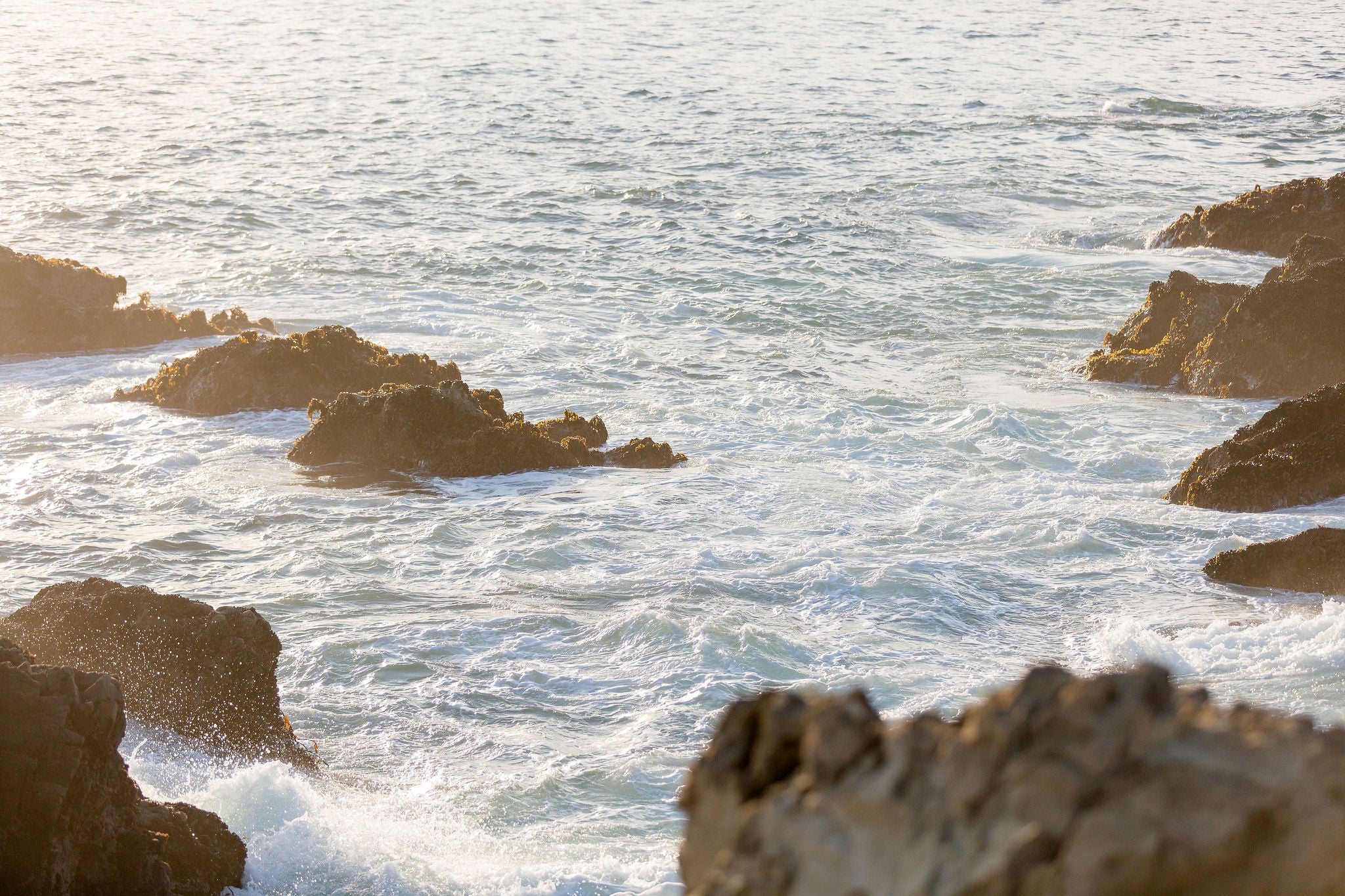 Framed Photography Wall Art | Carly Tabak Print Shop