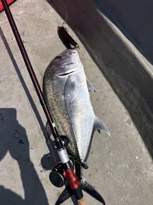 カーペンター メモリアル フィッシュ