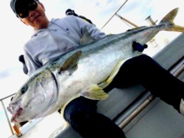 カーペンター BLC80／35 R－PM SC ブルーチェイサー