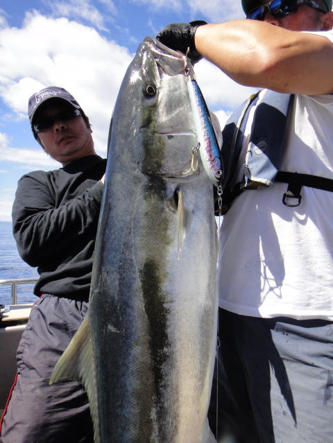 カーペンター BLC80／35 R－PM SC ブルーチェイサー